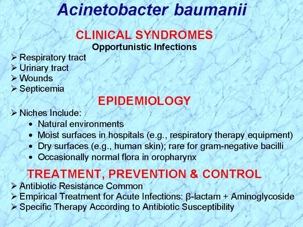 Acinetobacter baumanii